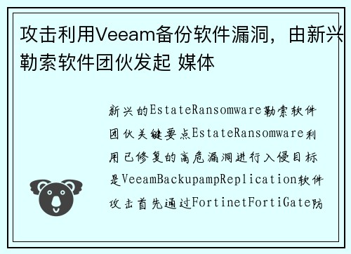 攻击利用Veeam备份软件漏洞，由新兴勒索软件团伙发起 媒体